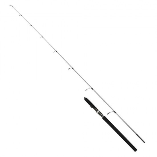 Shimano Kamis Speedmaster R Jigging Spinning 1,91M 6'3