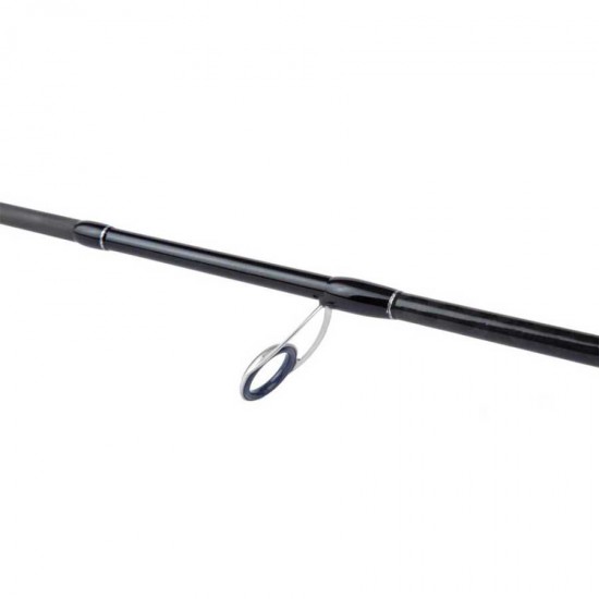 Shimano Kamis Bassterra XTP Sea Bass Spinning 2,89M 9'3