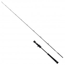 25Grappler Type Jigging 1,83M 6'0 250G 1+1Pc Cast