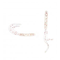 SPIINX BENDURA 9,5CM 5P CLEAR SECRET GLOW