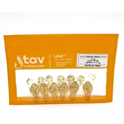 BÖCEK 40Mm 6’Li Paket Motor Oil Flash (UV)