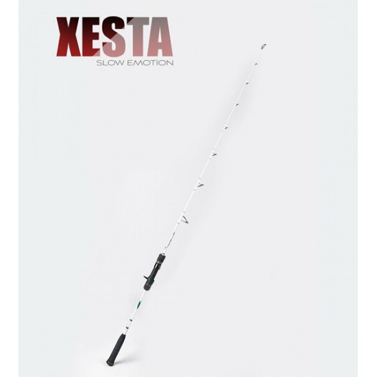 XESTA SLOW EMOTION FOR POWER PITCH JERK B60-PPJ 1.82M 150-500G