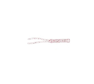 Pandora Shaky Worm 5 Cm Red Berry