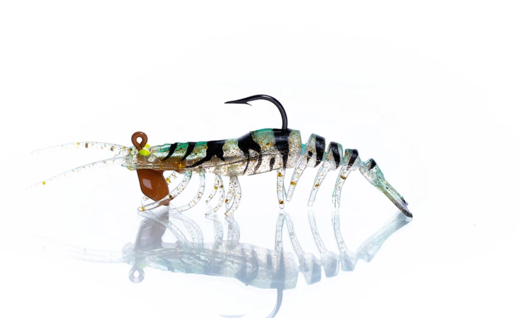 PANDORA CARIDINA E028