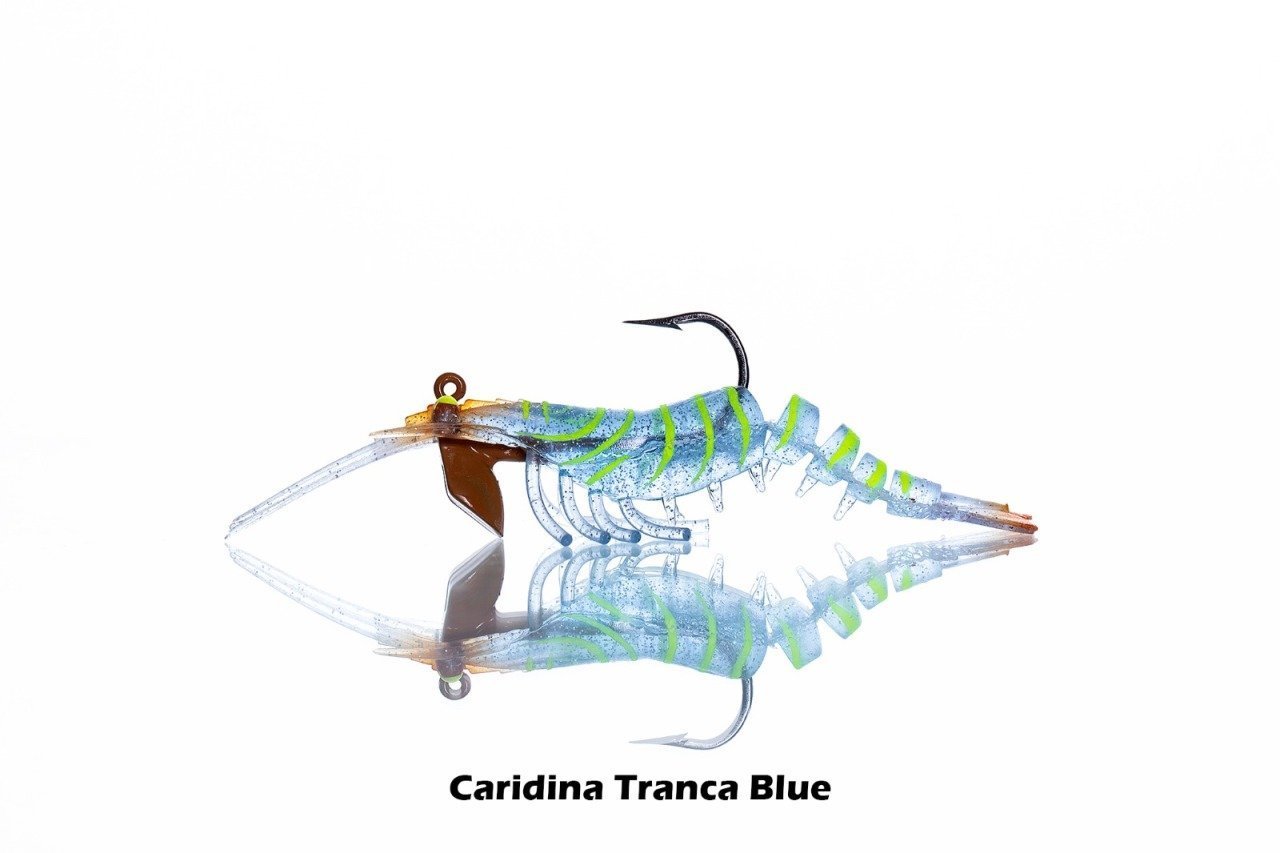 PANDORA CARIDINA TRANÇA BLUE