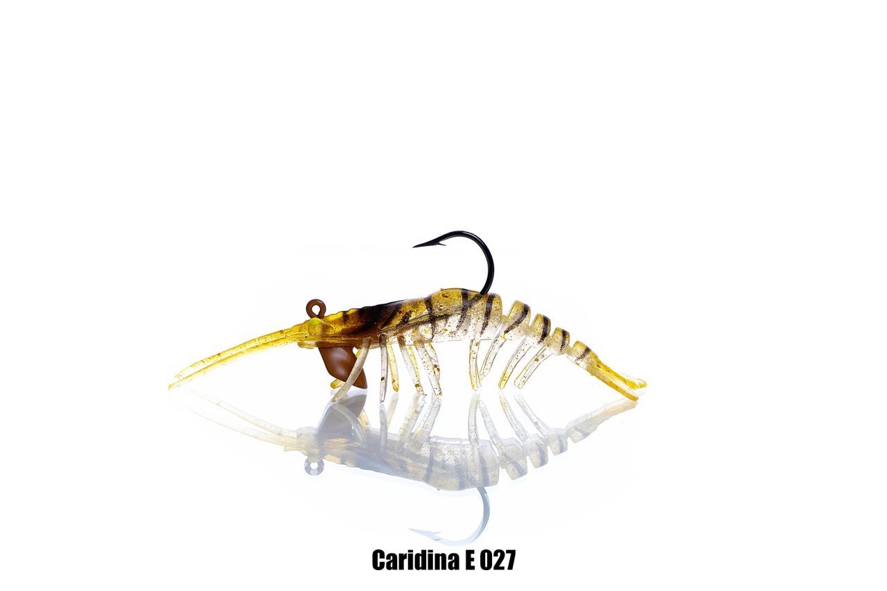 PANDORA CARIDINA E027 