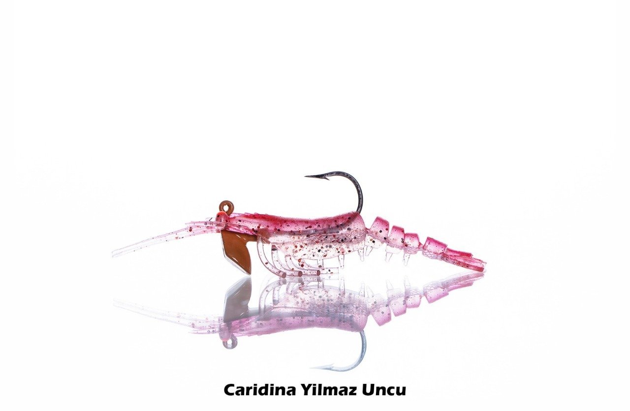 PANDORA CARIDINA Y. UNCU