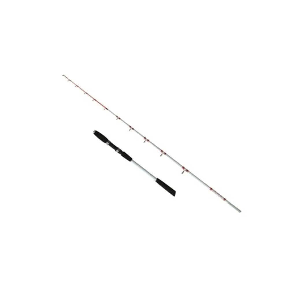 1428 CAPTAİN EGI FISHER BOAT 2 PAR MAX150GR 150CM