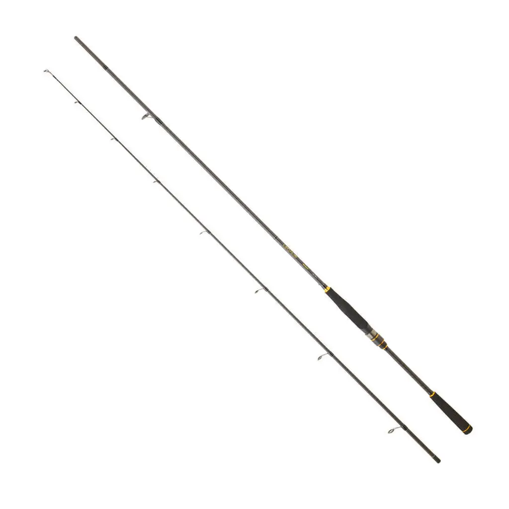 DAIWA LEGALIS SEABASS BF 2.59M, 10-35GR, 2P KAMIŞ