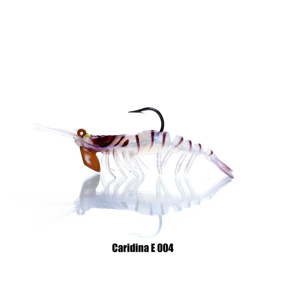 PANDORA CARIDINA E004