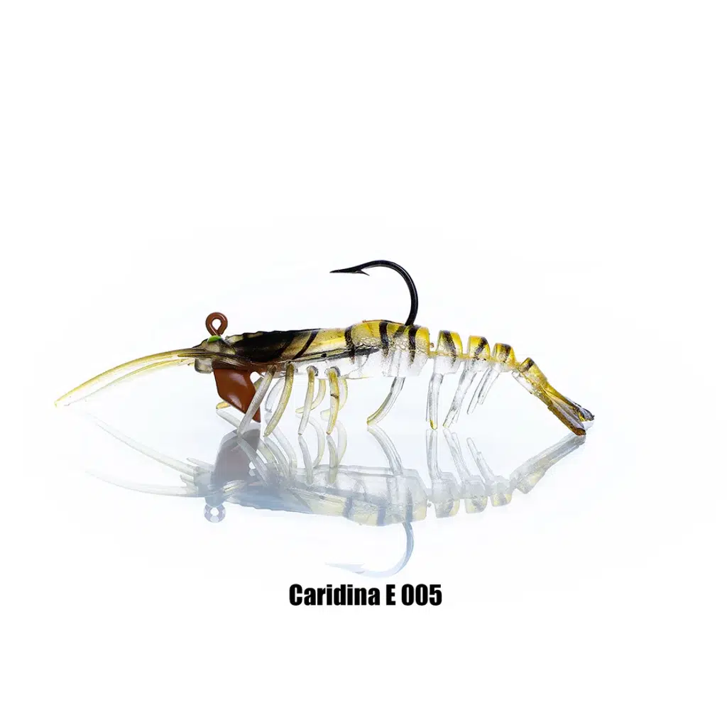 PANDORA CARIDINA E005