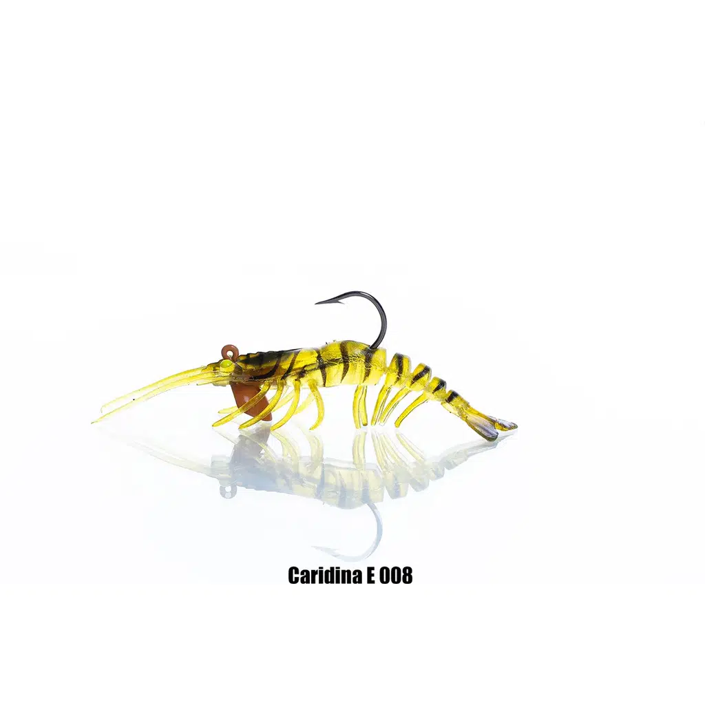 PANDORA CARIDINA E008